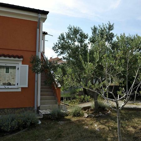 Apartman Branka Kornić Extérieur photo